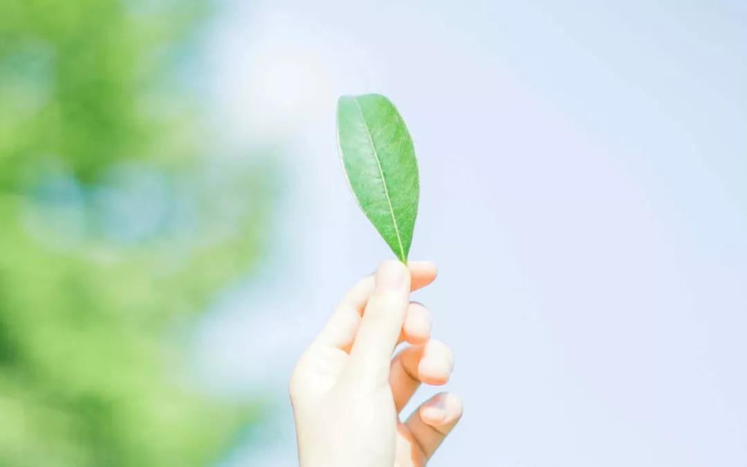 重返职场一周年纪念日
